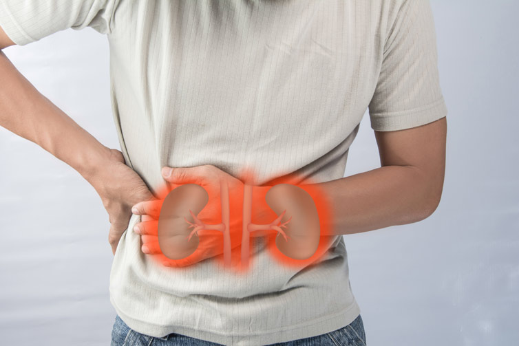 Best kidney cancer doctor in India