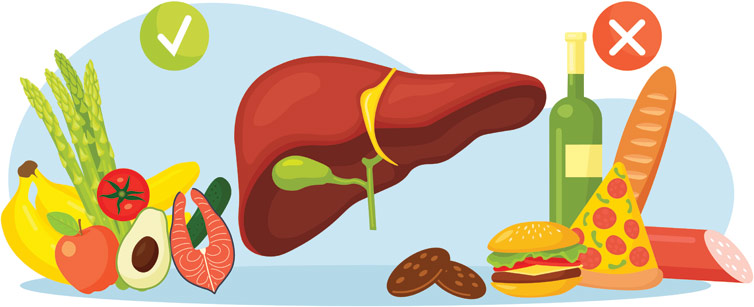 Embolization Therapy for Liver Cancer