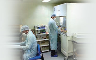 Stem Cell Lab Stem Cell Lab