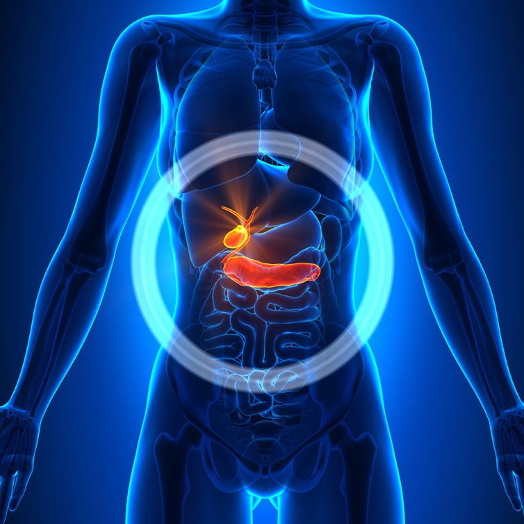 Follow up Care after Whipple Procedure in India